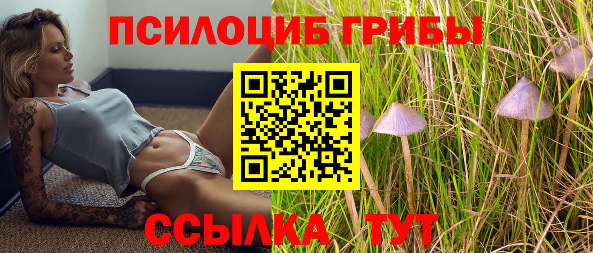 Галлюциногенные грибы Psilocybine cubensis  Галлюциногенные грибы мухоморы  Сертолово  Вход с VPN 