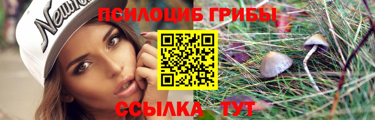 Псилоцибиновые грибы Cubensis Сертолово